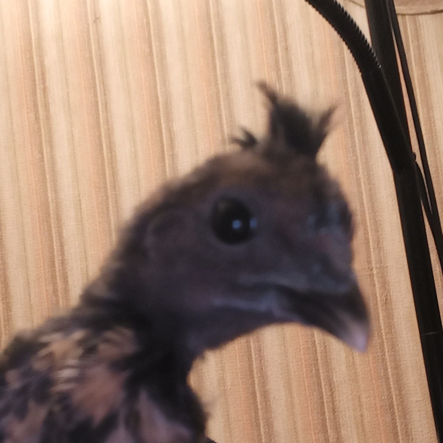 Photo prise le 2023-03-01